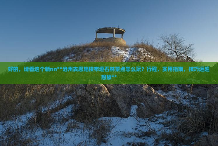 沧州去恩施梭布垭石林景点