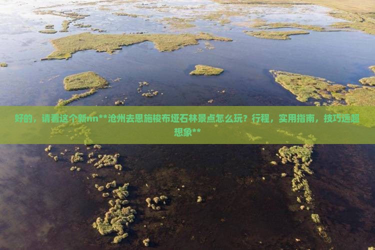 沧州去恩施梭布垭石林景点