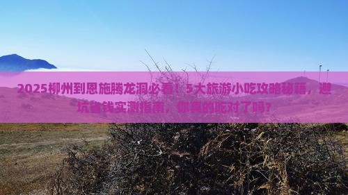 柳州到恩施腾龙洞旅游小吃