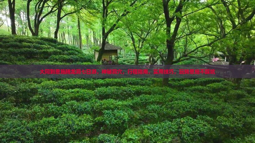 大同到恩施腾龙洞七日游