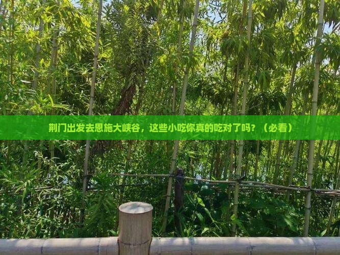 荆门去恩施大峡谷旅游小吃