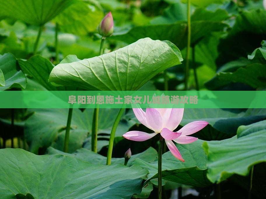 阜阳到恩施土家女儿城旅游