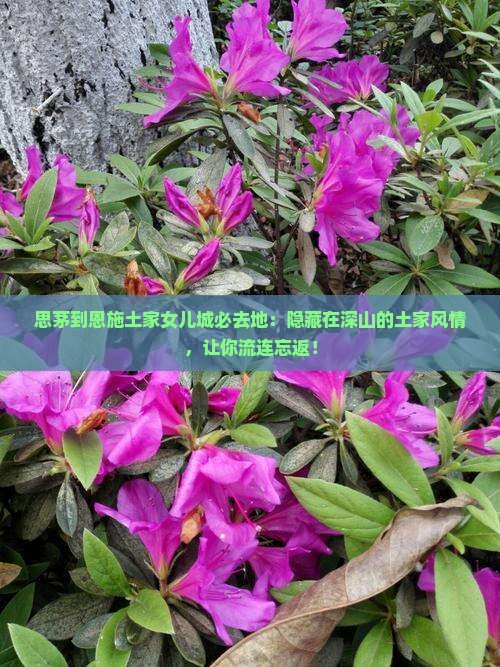 思茅到恩施土家女儿城必去地