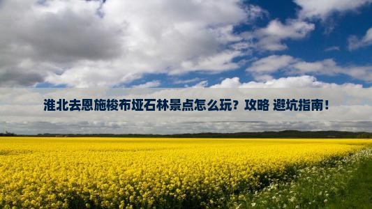 淮北去恩施梭布垭石林景点