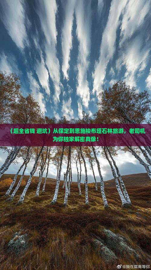 保定到恩施梭布垭石林旅游