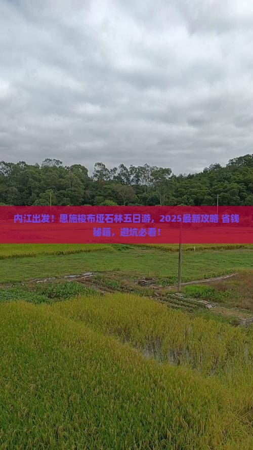 内江到恩施梭布垭石林五日游 内江到恩施梭布垭石林五日游