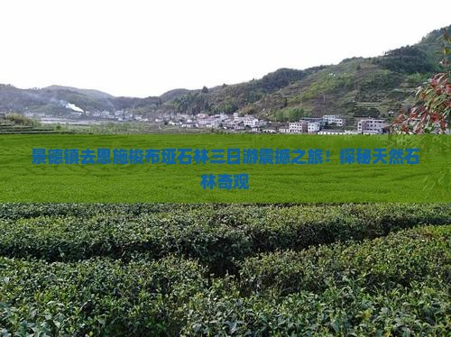景德镇去恩施梭布垭石林三日游 景德镇去恩施梭布垭石林三日游