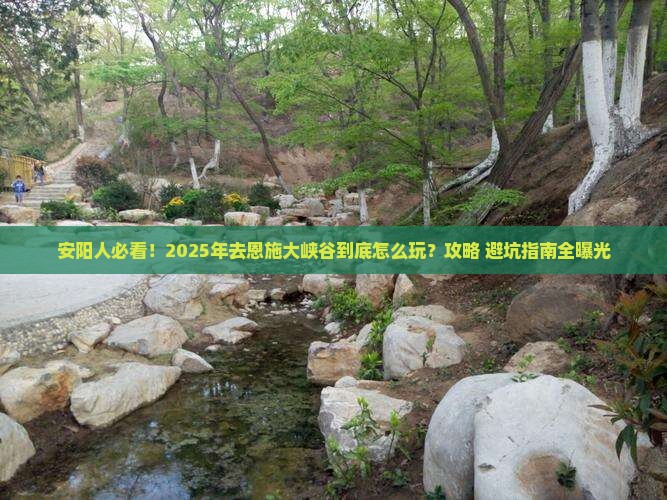 安阳去恩施大峡谷攻略