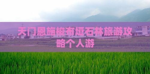 天门去恩施梭布垭石林个人游