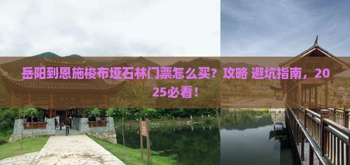 岳阳到恩施梭布垭石林门票