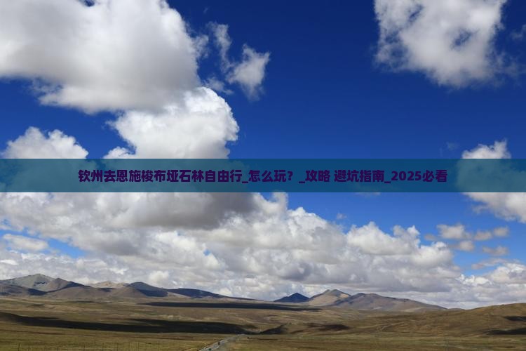 钦州去恩施梭布垭石林自由行