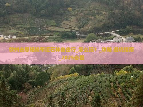 钦州去恩施梭布垭石林自由行