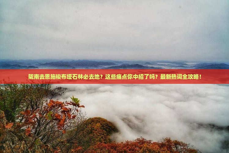 陇南去恩施梭布垭石林必去地