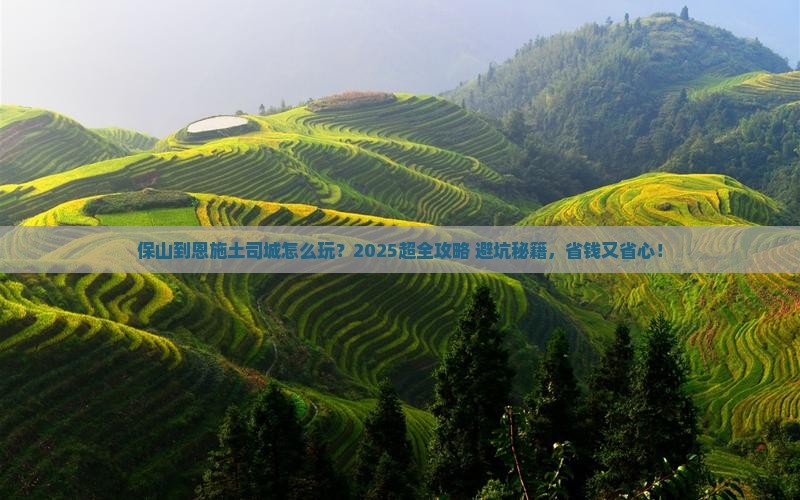 保山到恩施土司城旅行社