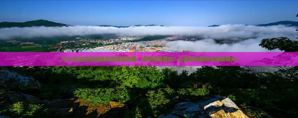 崇左去恩施腾龙洞旅行社