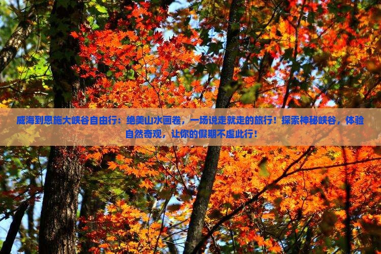 威海到恩施大峡谷自由行
