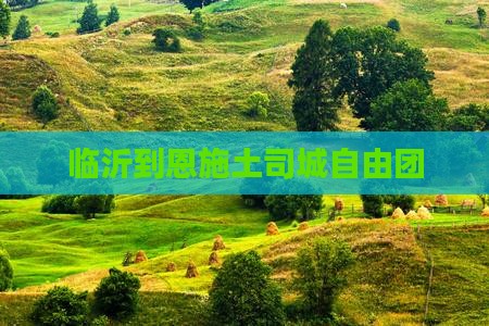 临沂到恩施土司城自由团