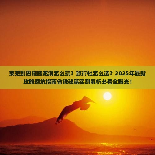 莱芜到恩施腾龙洞旅行社