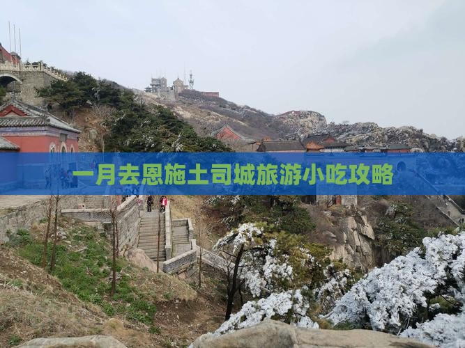 一月去恩施土司城旅游小吃