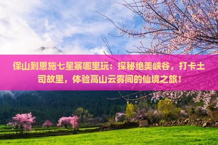 保山到恩施七星寨哪里玩