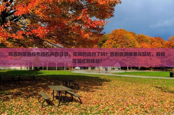 鸡西到恩施梭布垭石林四日游