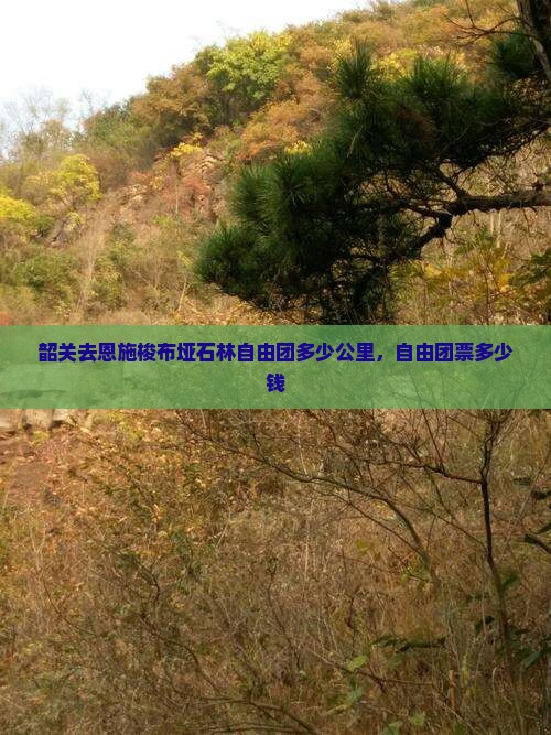 韶关去恩施梭布垭石林自由团