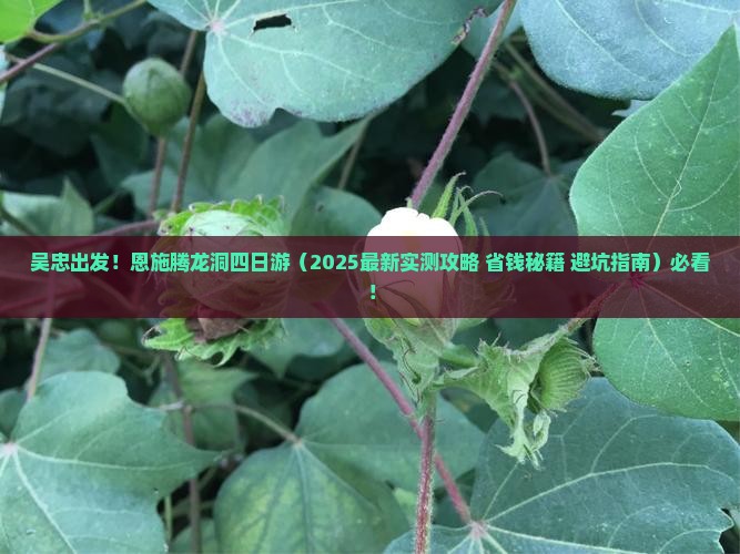 吴忠去恩施腾龙洞四日游