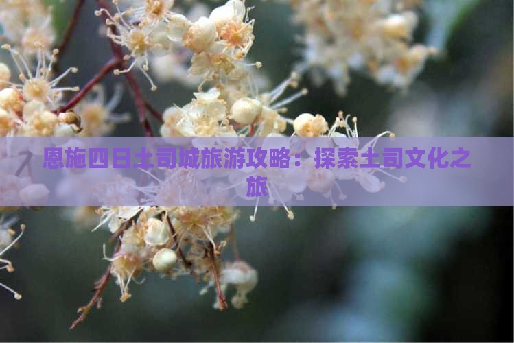 十月去恩施土司城四日游