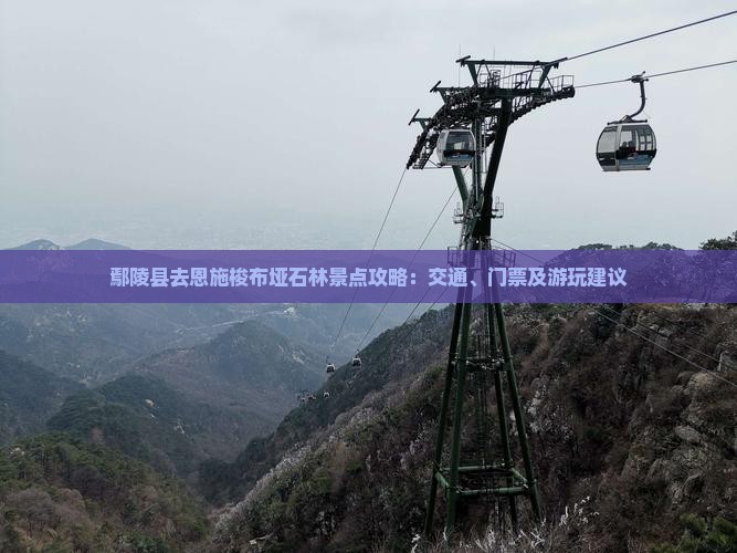 鄢陵县去恩施梭布垭石林景点