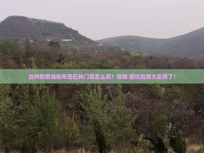 达州到恩施梭布垭石林门票