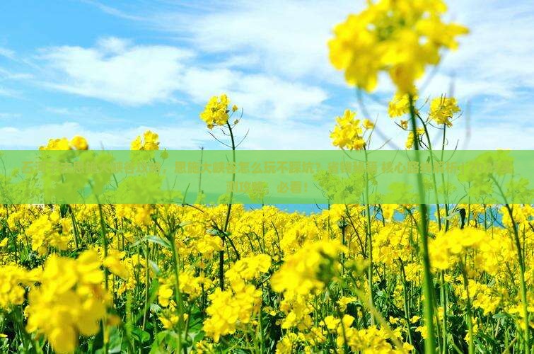 石河子去恩施大峡谷攻略