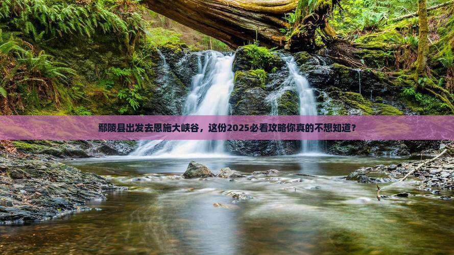 鄢陵县去恩施大峡谷攻略