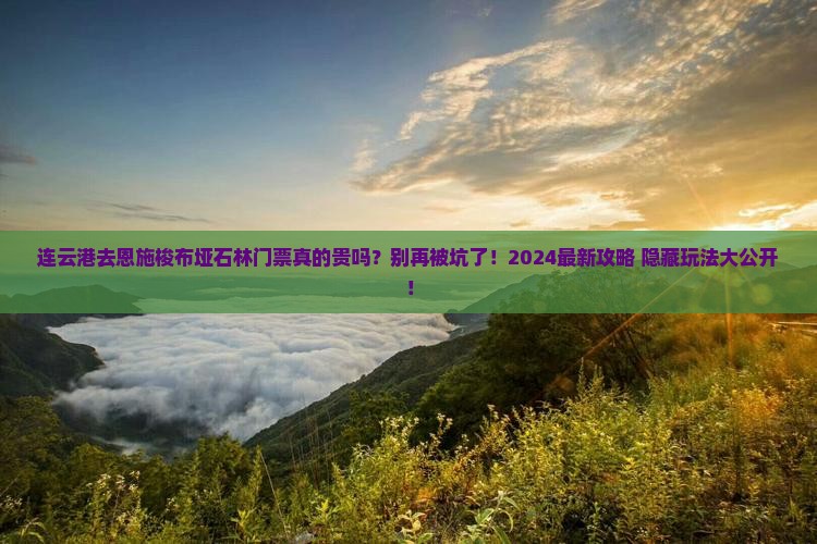 连云港去恩施梭布垭石林门票
