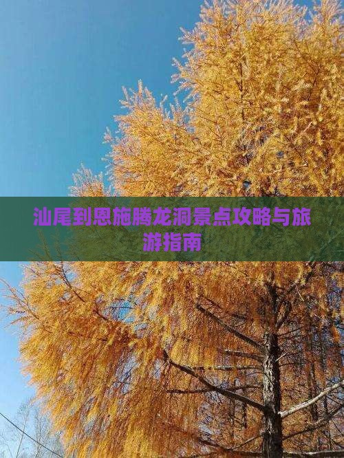 汕尾去恩施腾龙洞景点