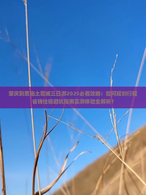 肇庆到恩施土司城三日游