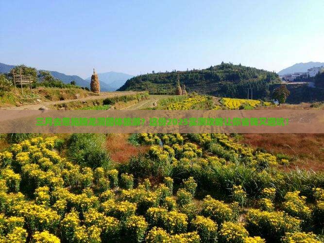 三月去恩施腾龙洞团体旅游