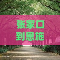 张家口到恩施清江画廊旅行社