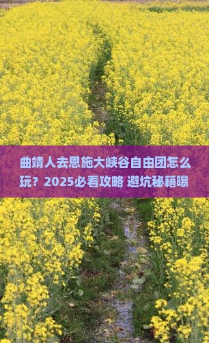 曲靖去恩施大峡谷自由团