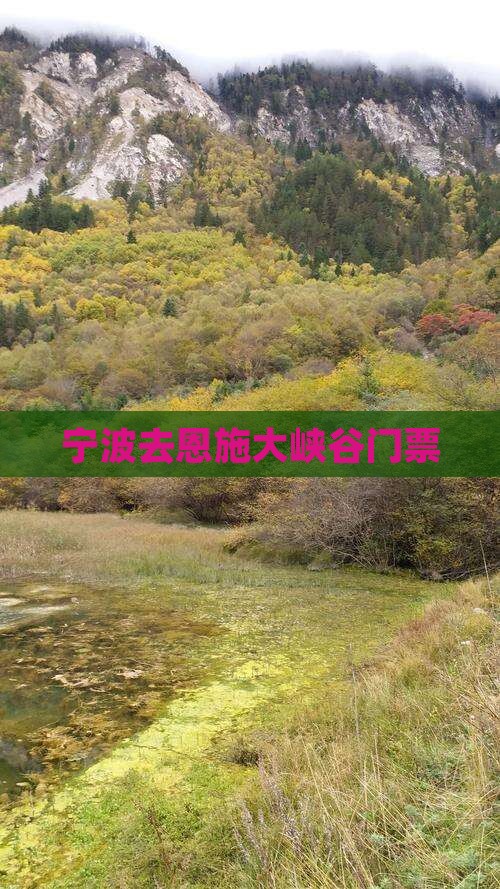 宁波去恩施大峡谷门票