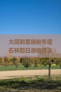 大同到恩施梭布垭石林四日游