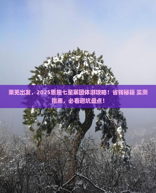 莱芜去恩施七星寨团体旅游