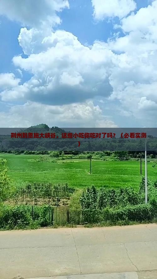 荆州到恩施大峡谷旅游小吃
