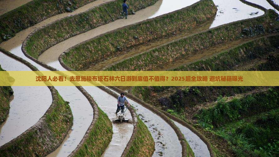 沈阳去恩施梭布垭石林六日游