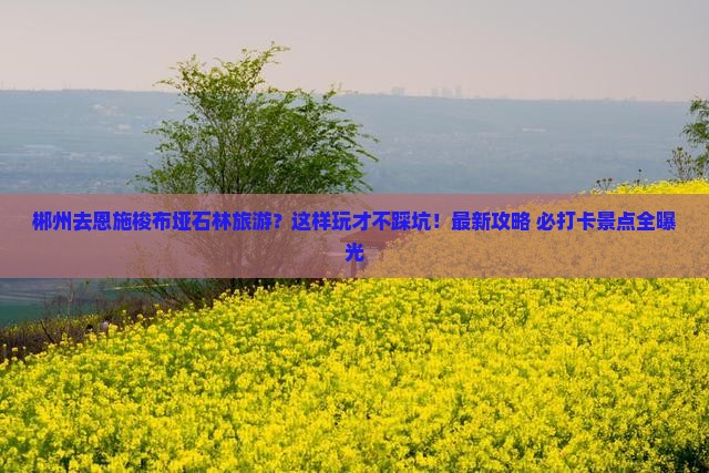 郴州去恩施梭布垭石林旅游