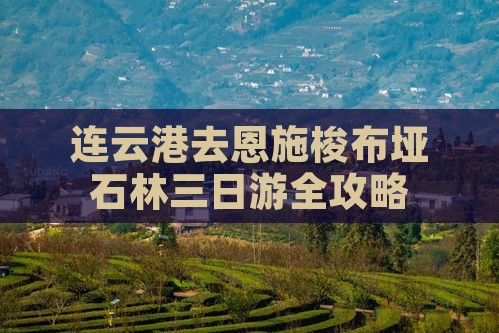 连云港去恩施梭布垭石林三日游