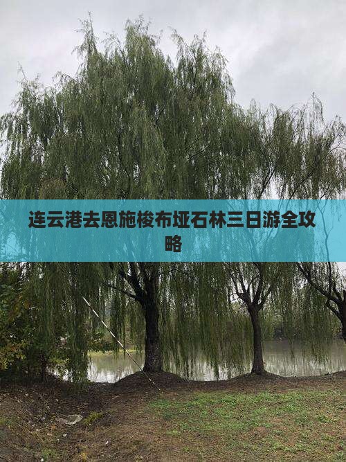 连云港去恩施梭布垭石林三日游