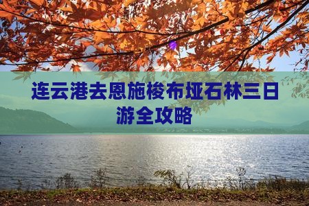 连云港去恩施梭布垭石林三日游