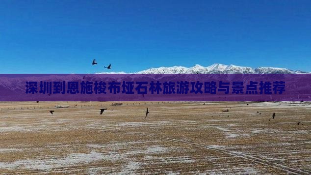 深圳到恩施梭布垭石林个人游
