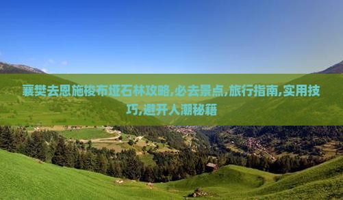 襄樊去恩施梭布垭石林攻略