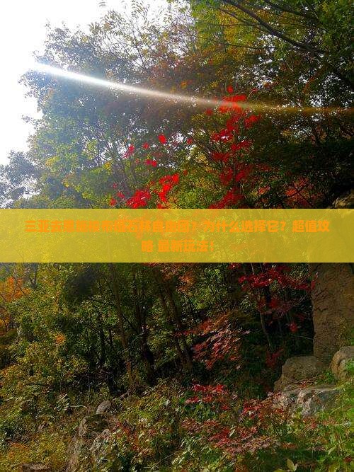 三亚去恩施梭布垭石林自由团